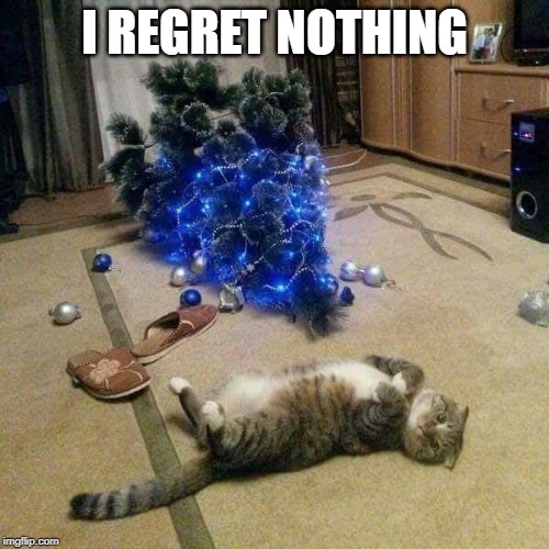 christmas tree cat | I REGRET NOTHING | image tagged in no regrets,cat,christmas tree | made w/ Imgflip meme maker