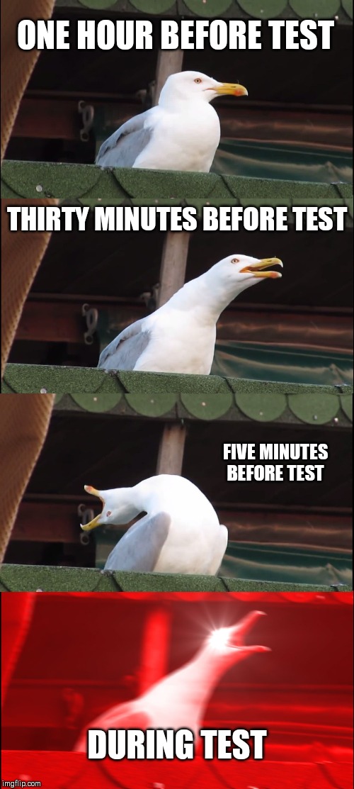 Inhaling Seagull | ONE HOUR BEFORE TEST; THIRTY MINUTES BEFORE TEST; FIVE MINUTES BEFORE TEST; DURING TEST | image tagged in memes,inhaling seagull | made w/ Imgflip meme maker