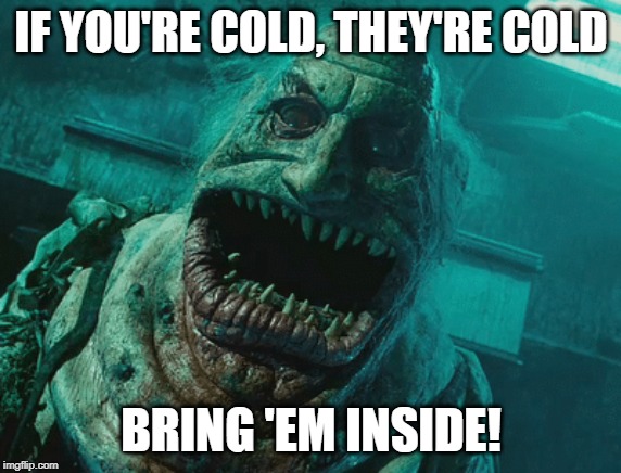 Bring em inside | IF YOU'RE COLD, THEY'RE COLD; BRING 'EM INSIDE! | image tagged in cold weather,horror,if they're cold | made w/ Imgflip meme maker