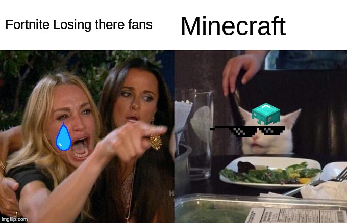 Woman Yelling At Cat Meme | Fortnite Losing there fans; Minecraft | image tagged in memes,woman yelling at cat | made w/ Imgflip meme maker