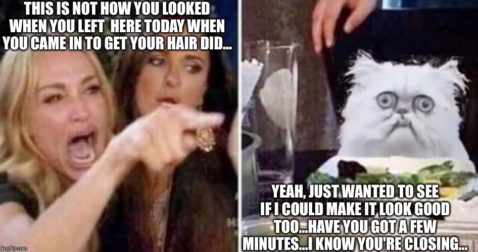 THIS IS NOT HOW YOU LOOKED WHEN YOU LEFT  HERE TODAY WHEN YOU CAME IN TO GET YOUR HAIR DID... YEAH, JUST WANTED TO SEE IF I COULD MAKE IT LOOK GOOD TOO...HAVE YOU GOT A FEW MINUTES...I KNOW YOU'RE CLOSING... | image tagged in hair | made w/ Imgflip meme maker