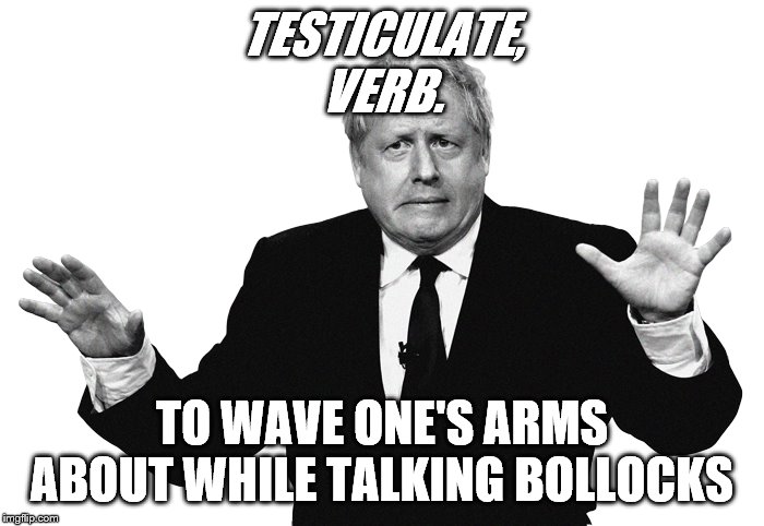 Boris | TESTICULATE,
VERB. TO WAVE ONE'S ARMS ABOUT WHILE TALKING BOLLOCKS | image tagged in boris | made w/ Imgflip meme maker