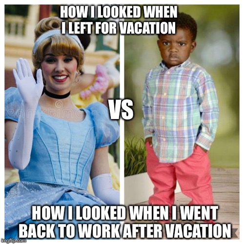 HOW I LOOKED WHEN I LEFT FOR VACATION; VS; HOW I LOOKED WHEN I WENT BACK TO WORK AFTER VACATION | image tagged in funny memes | made w/ Imgflip meme maker