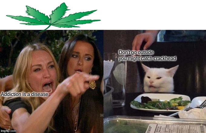 Woman Yelling At Cat Meme | Don't go outside you might catch crackhead; Addiction is a disease | image tagged in memes,woman yelling at cat | made w/ Imgflip meme maker
