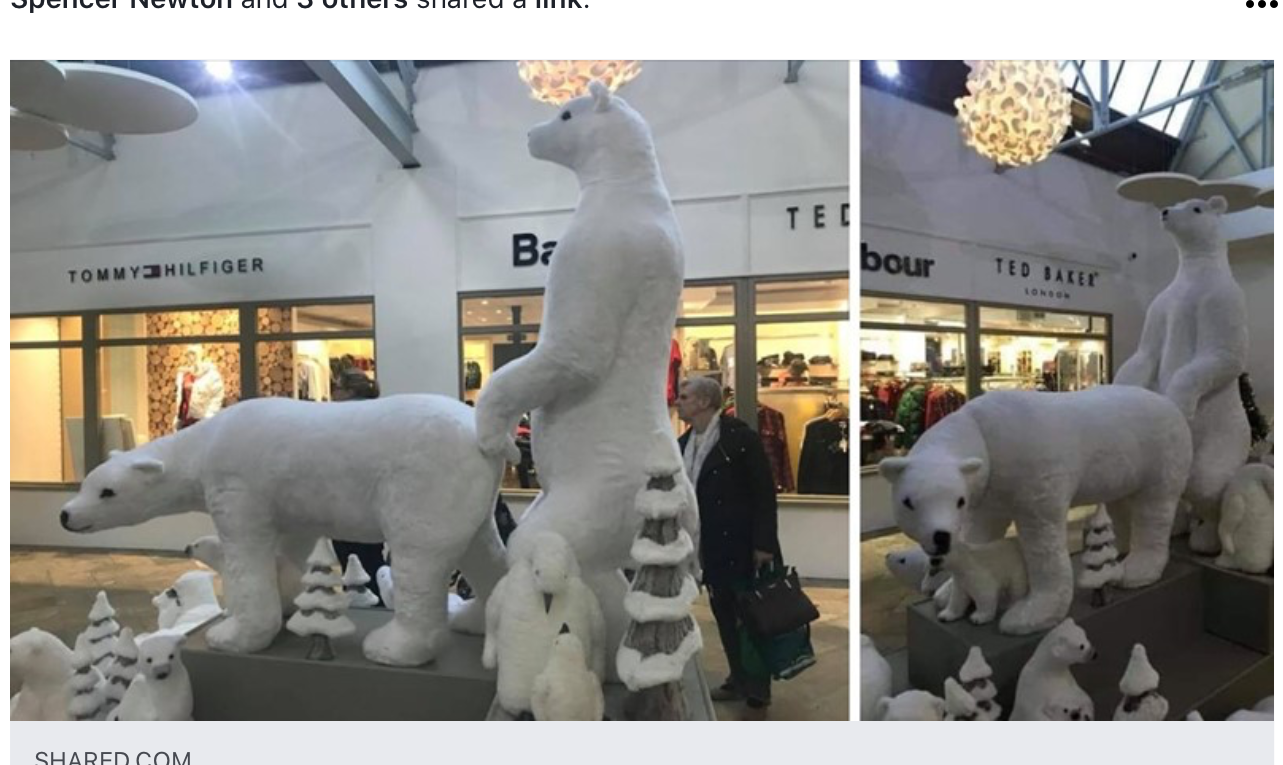 MATING TIME WITH ICE BEARS!!!!!!!!!!!!!!!!!!!!!!!!!!!!!!!!!!!! Blank Meme Template