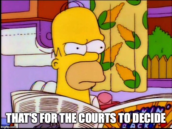 Homer Angry 1 | THAT'S FOR THE COURTS TO DECIDE | image tagged in homer angry 1 | made w/ Imgflip meme maker