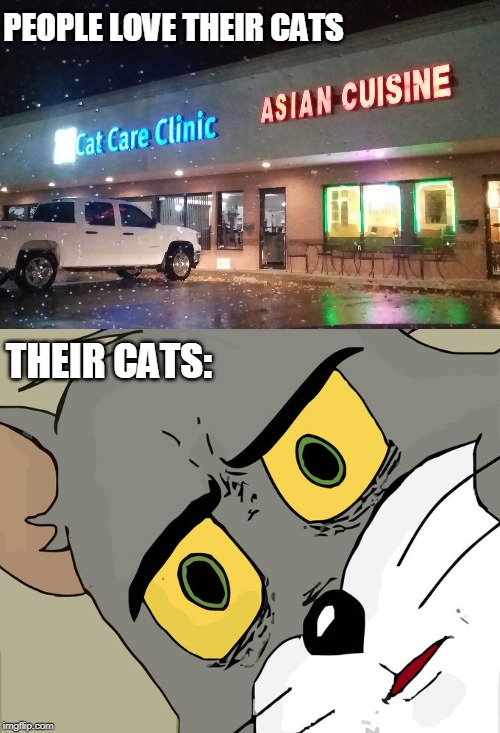I'd be cautious to eat at this establishment | PEOPLE LOVE THEIR CATS; THEIR CATS: | image tagged in memes,unsettled tom,cats,asian food,veterinarian,cuisine | made w/ Imgflip meme maker
