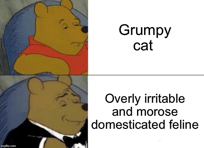 Tuxedo Winnie The Pooh | Grumpy cat; Overly irritable and morose domesticated feline | image tagged in memes,tuxedo winnie the pooh | made w/ Imgflip meme maker