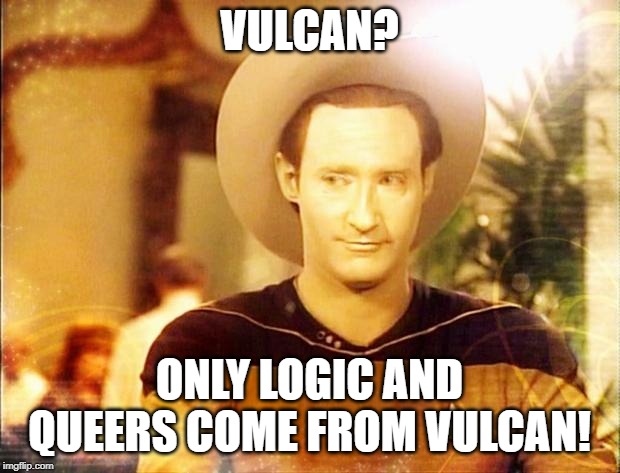 Gunnery Sgt. Data | VULCAN? ONLY LOGIC AND QUEERS COME FROM VULCAN! | image tagged in star trek data in cowboy hat | made w/ Imgflip meme maker