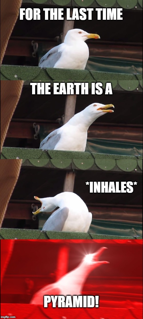 Inhaling Seagull | FOR THE LAST TIME; THE EARTH IS A; *INHALES*; PYRAMID! | image tagged in memes,inhaling seagull | made w/ Imgflip meme maker