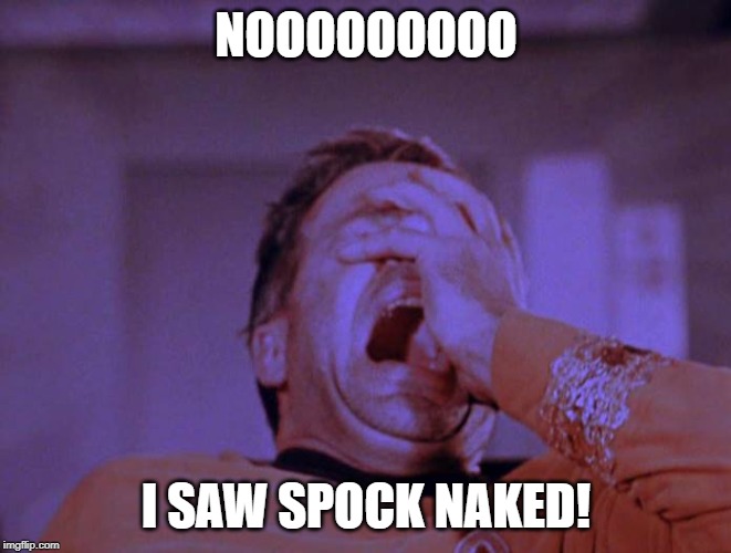 Not a Sight to Behold | NOOOOOOOOO; I SAW SPOCK NAKED! | image tagged in star trek facepalm | made w/ Imgflip meme maker