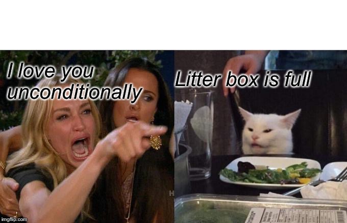 Woman Yelling At Cat | I love you unconditionally; Litter box is full | image tagged in memes,woman yelling at cat | made w/ Imgflip meme maker