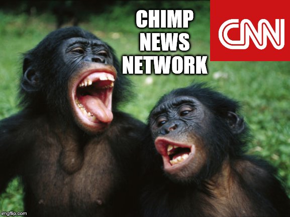 Propaganda for Primates | CHIMP
NEWS
NETWORK | image tagged in memes,bonobo lyfe,politics,funny memes | made w/ Imgflip meme maker