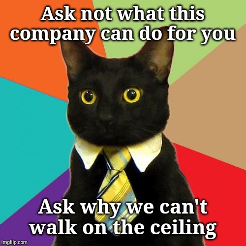 This is not an interview question at Google, folks; I want the answer | Ask not what this company can do for you; Ask why we can't walk on the ceiling | image tagged in memes,business cat,answers,the meaning of life,teamwork | made w/ Imgflip meme maker