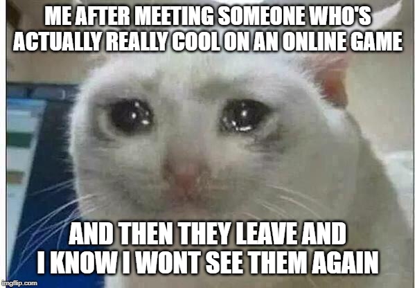 crying cat | ME AFTER MEETING SOMEONE WHO'S ACTUALLY REALLY COOL ON AN ONLINE GAME; AND THEN THEY LEAVE AND I KNOW I WONT SEE THEM AGAIN | image tagged in crying cat | made w/ Imgflip meme maker