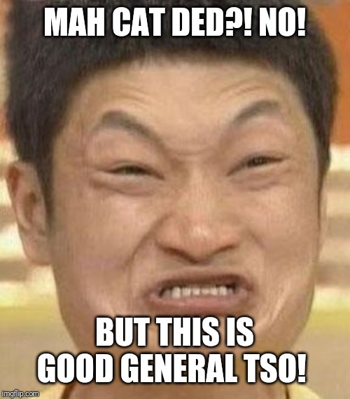 mad asian | MAH CAT DED?! NO! BUT THIS IS GOOD GENERAL TSO! | image tagged in mad asian | made w/ Imgflip meme maker