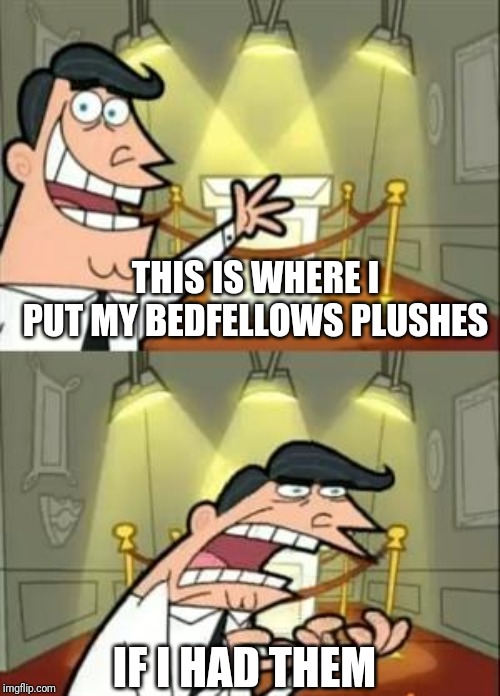 This Is Where I'd Put My Trophy If I Had One | THIS IS WHERE I PUT MY BEDFELLOWS PLUSHES; IF I HAD THEM | image tagged in memes,this is where i'd put my trophy if i had one | made w/ Imgflip meme maker