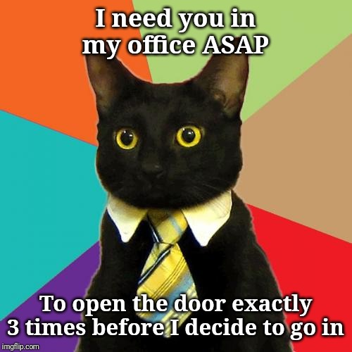 Be a team player and we'll see about moving your desk in there too | I need you in my office ASAP; To open the door exactly 3 times before I decide to go in | image tagged in memes,business cat,teamwork,good guy boss,FreeKarma4U | made w/ Imgflip meme maker