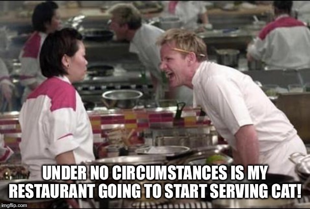Angry Chef Gordon Ramsay Meme | UNDER NO CIRCUMSTANCES IS MY RESTAURANT GOING TO START SERVING CAT! | image tagged in memes,angry chef gordon ramsay | made w/ Imgflip meme maker