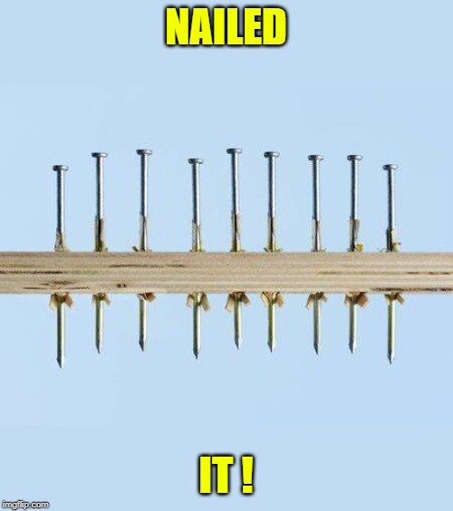 NAILED IT | NAILED; IT ! | image tagged in nailed it | made w/ Imgflip meme maker