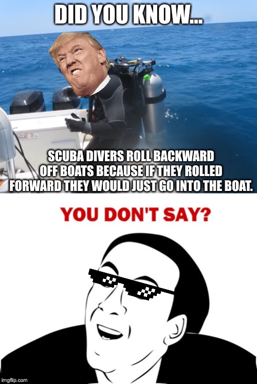 DID YOU KNOW... SCUBA DIVERS ROLL BACKWARD OFF BOATS BECAUSE IF THEY ROLLED FORWARD THEY WOULD JUST GO INTO THE BOAT. | image tagged in memes,you don't say | made w/ Imgflip meme maker