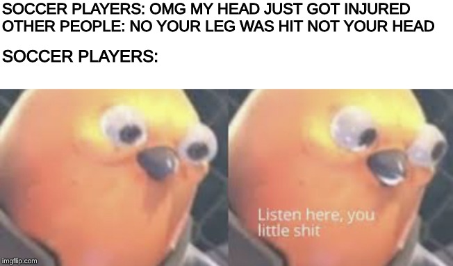 Listen here you little shit bird | SOCCER PLAYERS: OMG MY HEAD JUST GOT INJURED
OTHER PEOPLE: NO YOUR LEG WAS HIT NOT YOUR HEAD; SOCCER PLAYERS: | image tagged in listen here you little shit bird,memes,bird,now listen here you little shit,listen | made w/ Imgflip meme maker