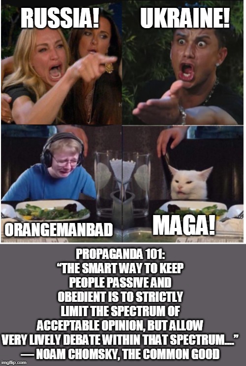 Try to think outside your overlords' box. | HEAR SAY, HEAR SAY! LIST OF CREDIBLE WITNESSES 0 IMPEACHMENT SHAM ZERO WITNESS CREDIBILITYSHAM TO MANIPULATE THE 2020 ELECTION, WHEN BID | image tagged in team arguement | made w/ Imgflip meme maker