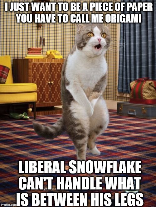 Gotta call me Origami | I JUST WANT TO BE A PIECE OF PAPER
YOU HAVE TO CALL ME ORIGAMI; LIBERAL SNOWFLAKE CAN'T HANDLE WHAT IS BETWEEN HIS LEGS | image tagged in memes,gotta go cat,political memes | made w/ Imgflip meme maker