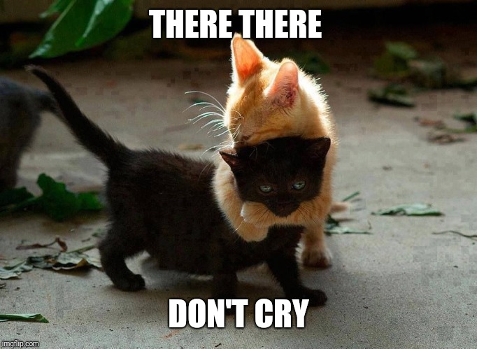 kitten hug | THERE THERE DON'T CRY | image tagged in kitten hug | made w/ Imgflip meme maker