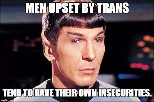 Condescending Spock | MEN UPSET BY TRANS TEND TO HAVE THEIR OWN INSECURITIES. | image tagged in condescending spock | made w/ Imgflip meme maker