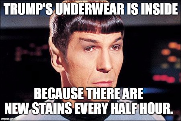 Condescending Spock | TRUMP'S UNDERWEAR IS INSIDE BECAUSE THERE ARE NEW STAINS EVERY HALF HOUR. | image tagged in condescending spock | made w/ Imgflip meme maker