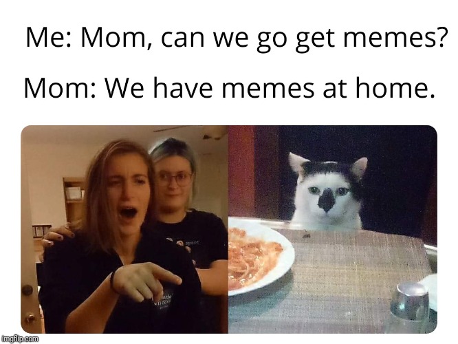 Memes at home | image tagged in memes,funny,woman yelling at cat | made w/ Imgflip meme maker