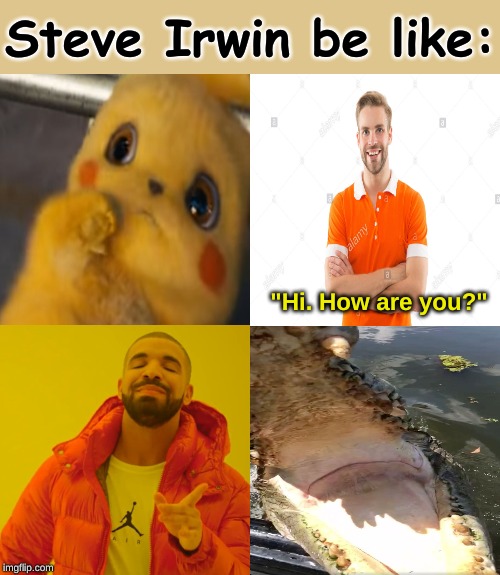 I miss him.  :( | Steve Irwin be like:; "Hi. How are you?" | image tagged in memes,reddit | made w/ Imgflip meme maker