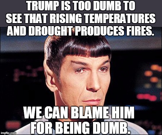 Condescending Spock | TRUMP IS TOO DUMB TO SEE THAT RISING TEMPERATURES AND DROUGHT PRODUCES FIRES. WE CAN BLAME HIM 
FOR BEING DUMB. | image tagged in condescending spock | made w/ Imgflip meme maker