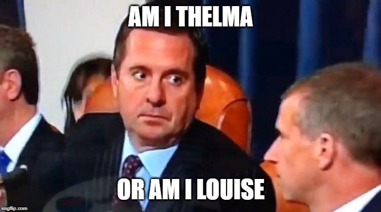 AM I THELMA; OR AM I LOUISE | image tagged in devin nunes | made w/ Imgflip meme maker