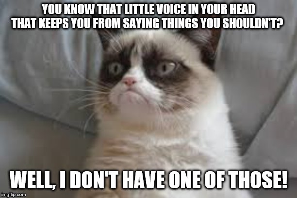 Grumpy cat | YOU KNOW THAT LITTLE VOICE IN YOUR HEAD THAT KEEPS YOU FROM SAYING THINGS YOU SHOULDN'T? WELL, I DON'T HAVE ONE OF THOSE! | image tagged in grumpy cat | made w/ Imgflip meme maker