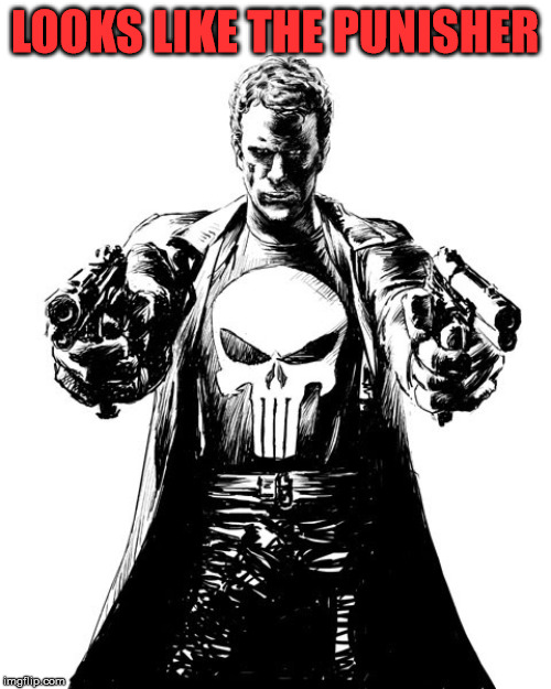 Punisher | LOOKS LIKE THE PUNISHER | image tagged in punisher | made w/ Imgflip meme maker