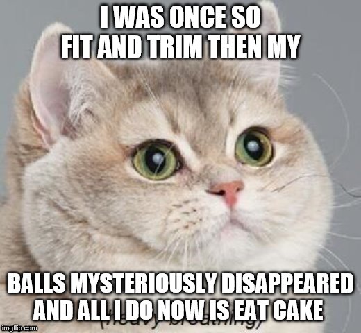 Heavy Breathing Cat | I WAS ONCE SO FIT AND TRIM THEN MY; BALLS MYSTERIOUSLY DISAPPEARED AND ALL I DO NOW IS EAT CAKE | image tagged in memes,heavy breathing cat | made w/ Imgflip meme maker