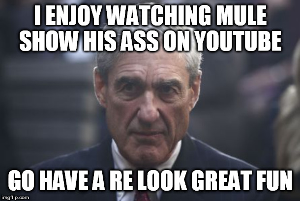 Mueller  | I ENJOY WATCHING MULE SHOW HIS ASS ON YOUTUBE; GO HAVE A RE LOOK GREAT FUN | image tagged in mueller | made w/ Imgflip meme maker