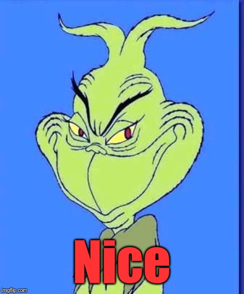 Good Grinch | Nice | image tagged in good grinch | made w/ Imgflip meme maker