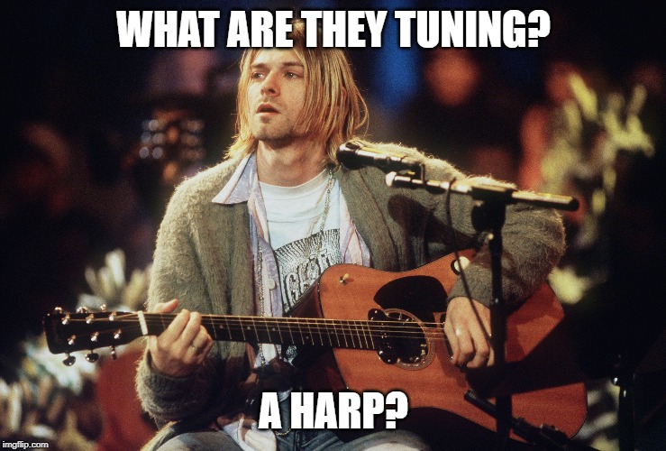 What are they tuning? A harp? | WHAT ARE THEY TUNING? A HARP? | image tagged in what are they tuning a harp | made w/ Imgflip meme maker