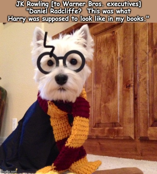 JK Rowling [to Warner Bros. executives] "Daniel Radcliffe?  This was what Harry was supposed to look like in my books." | image tagged in memes,harry potter | made w/ Imgflip meme maker