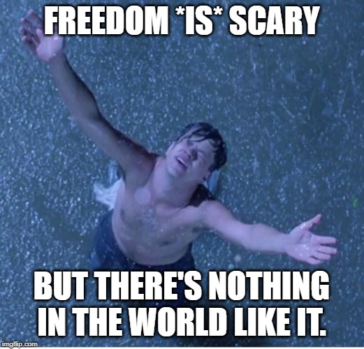 Shawshank redemption freedom | FREEDOM *IS* SCARY; BUT THERE'S NOTHING IN THE WORLD LIKE IT. | image tagged in shawshank redemption freedom | made w/ Imgflip meme maker