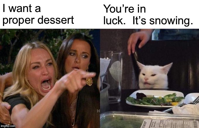 Woman Yelling At Cat Meme | I want a proper dessert You’re in luck.  It’s snowing. | image tagged in memes,woman yelling at cat | made w/ Imgflip meme maker