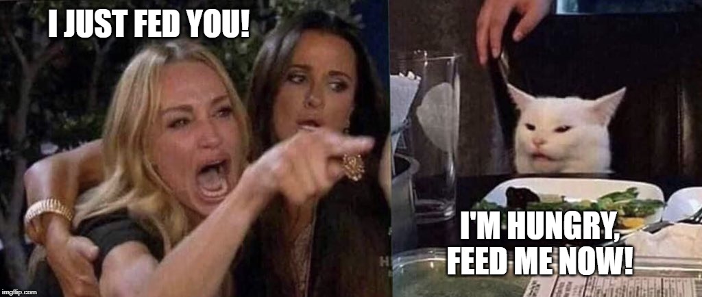 woman yelling at cat | I JUST FED YOU! I'M HUNGRY, FEED ME NOW! | image tagged in woman yelling at cat | made w/ Imgflip meme maker