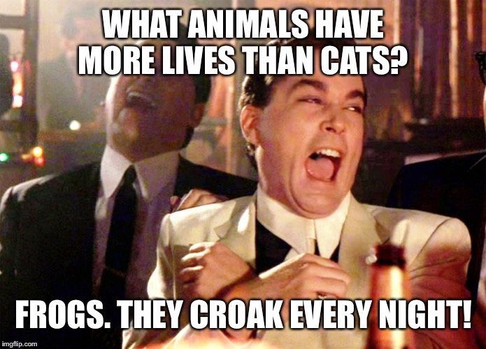 Good Fellas Hilarious Meme | WHAT ANIMALS HAVE MORE LIVES THAN CATS? FROGS. THEY CROAK EVERY NIGHT! | image tagged in memes,good fellas hilarious | made w/ Imgflip meme maker
