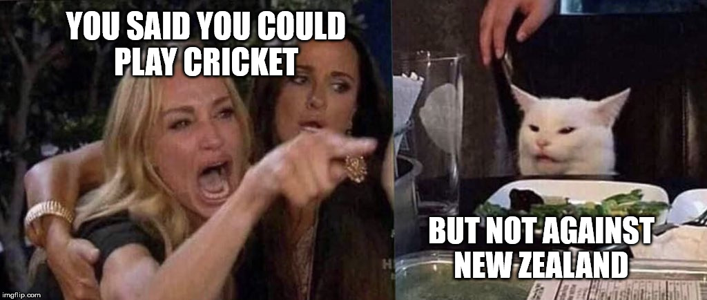 woman yelling at cat | YOU SAID YOU COULD
PLAY CRICKET; BUT NOT AGAINST
NEW ZEALAND | image tagged in woman yelling at cat | made w/ Imgflip meme maker