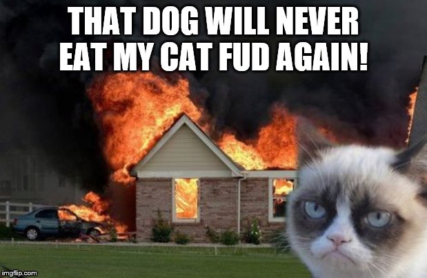 Burn Kitty Meme | THAT DOG WILL NEVER EAT MY CAT FUD AGAIN! | image tagged in memes,burn kitty,grumpy cat | made w/ Imgflip meme maker