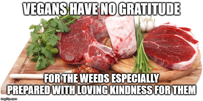 Vegans | VEGANS HAVE NO GRATITUDE; FOR THE WEEDS ESPECIALLY PREPARED WITH LOVING KINDNESS FOR THEM | image tagged in meat | made w/ Imgflip meme maker