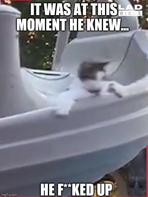 Cat messed up | IT WAS AT THIS MOMENT HE KNEW... HE F**KED UP | image tagged in cats,funny memes | made w/ Imgflip meme maker